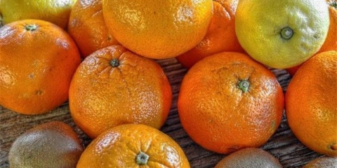 Kako uzgojiti narandžu iz sjemenke